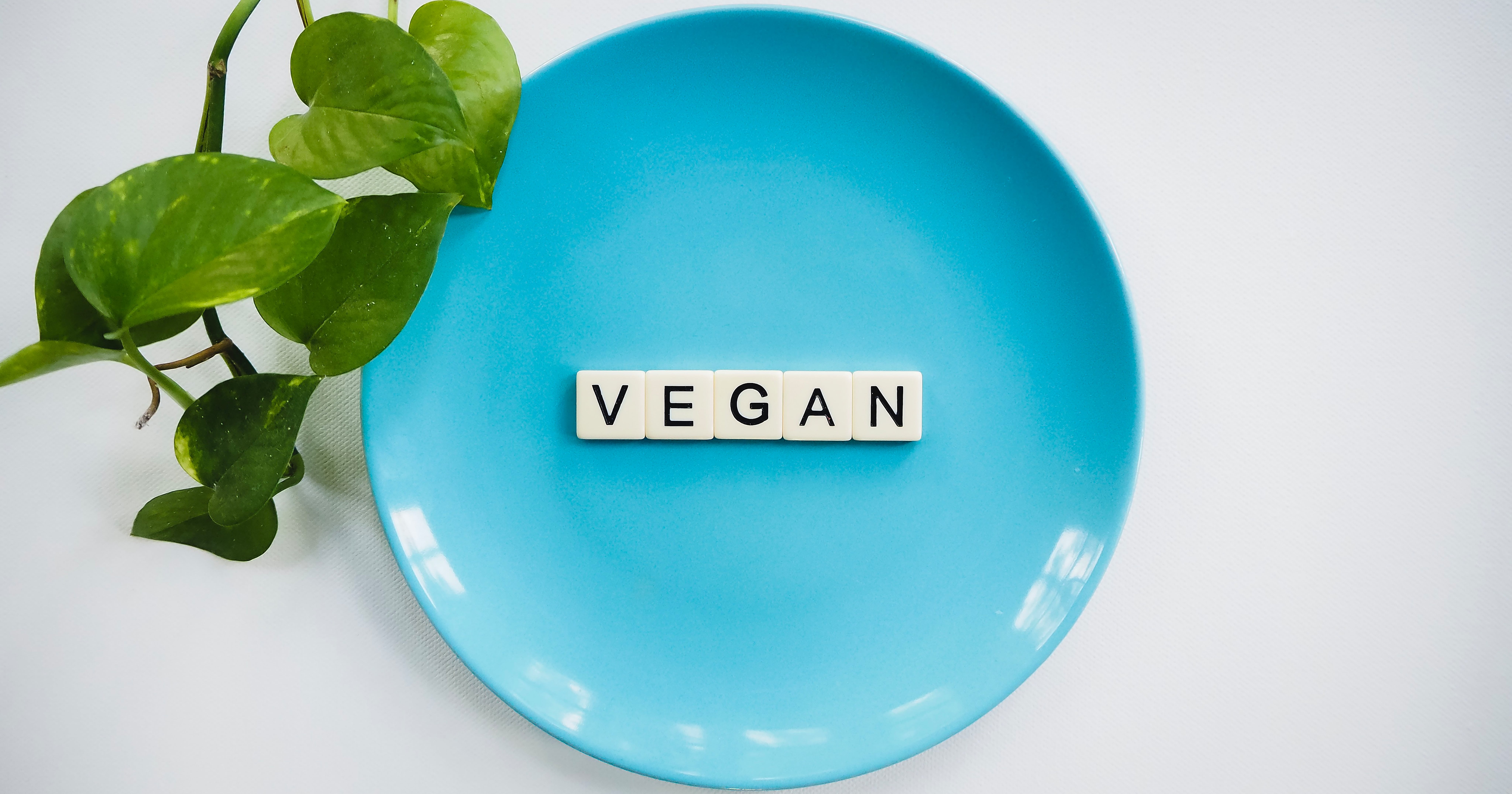 vegan one pot ginger scallion ramen noodles - Article 1